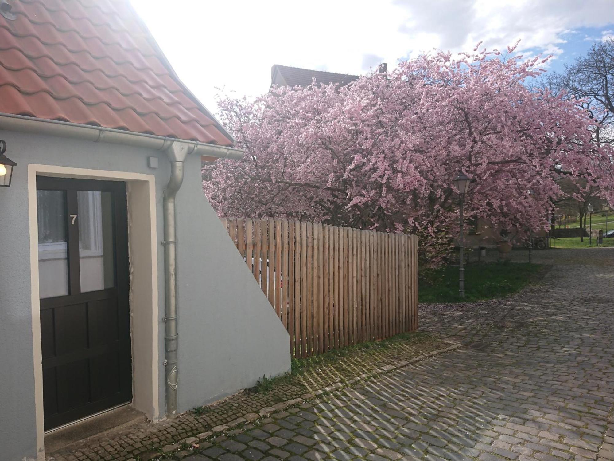 Ferienhaus Aschersleben Exteriör bild